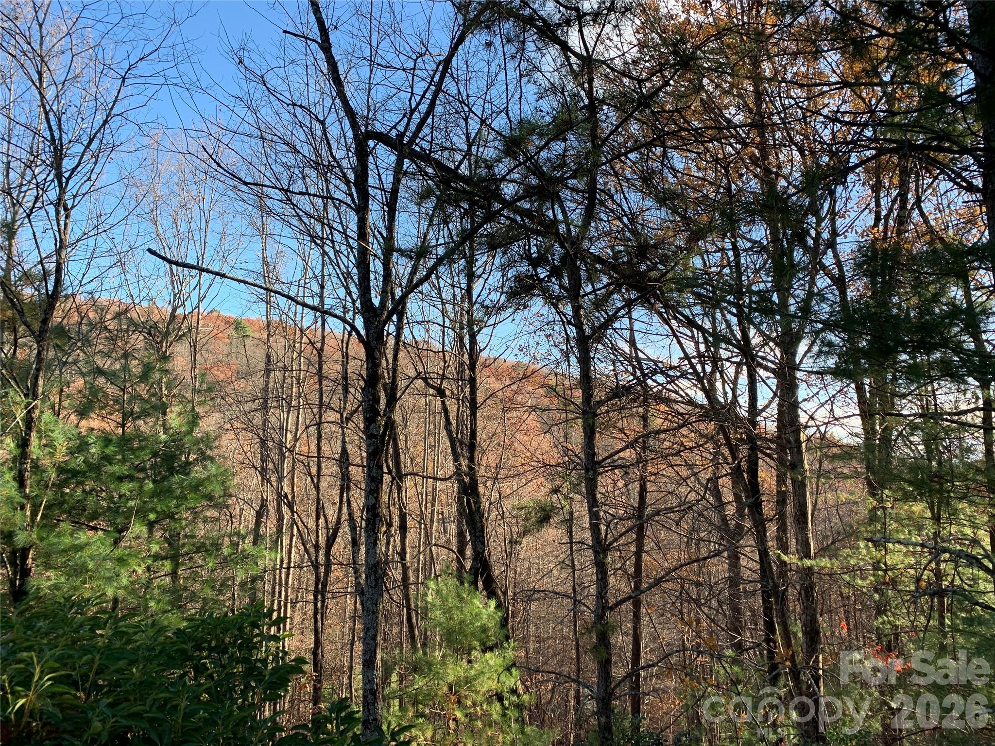 Tbd (Lot 4) Wolf Den Lane Lenoir NC 28645
