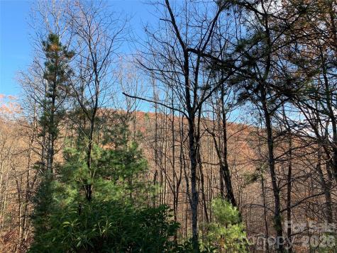 Tbd (Lot 4) Wolf Den Lane Lenoir NC 28645
