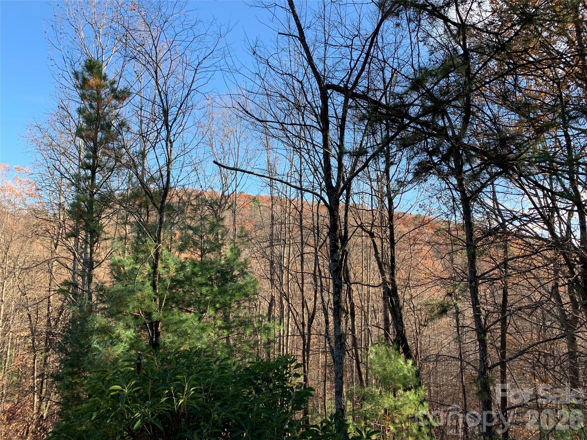Tbd (Lot 4) Wolf Den Lane Lenoir NC 28645