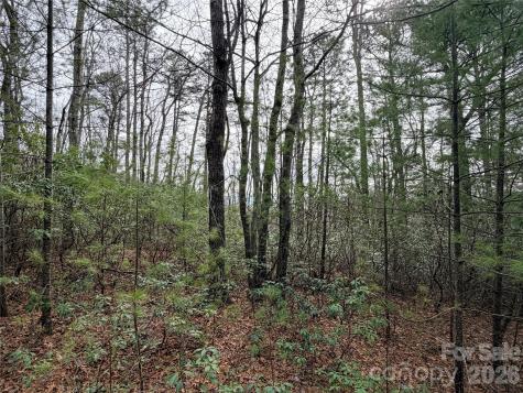 Tbd (Lot 4) Wolf Den Lane Lenoir NC 28645
