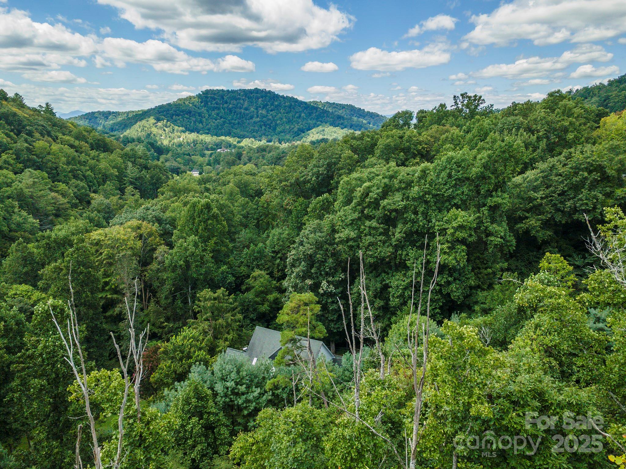 72 Applewood Lane Weaverville NC 28787