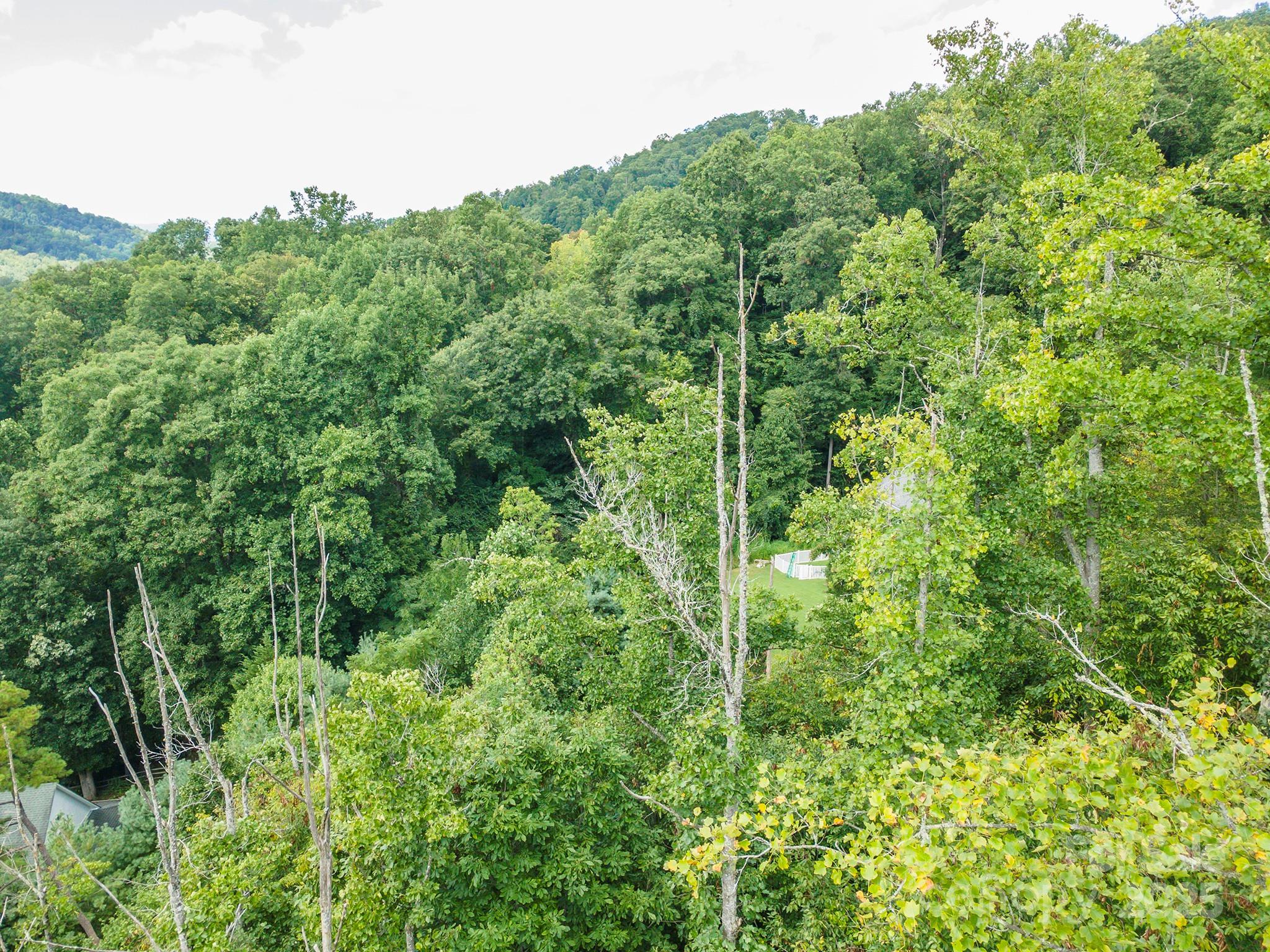 72 Applewood Lane Weaverville NC 28787