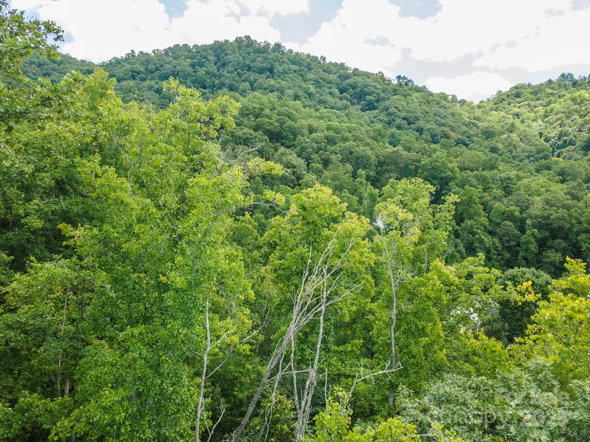 72 Applewood Lane Weaverville NC 28787