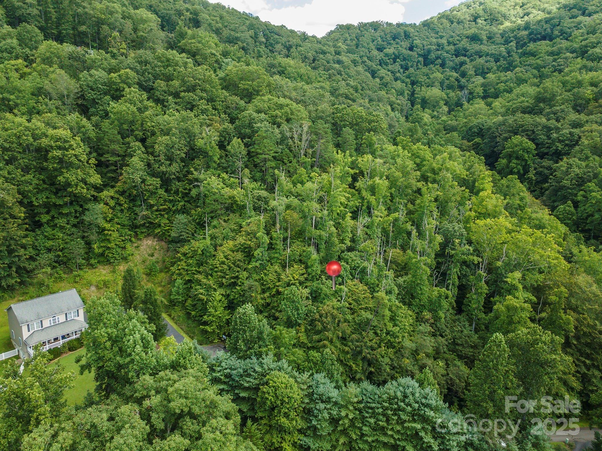 72 Applewood Lane Weaverville NC 28787