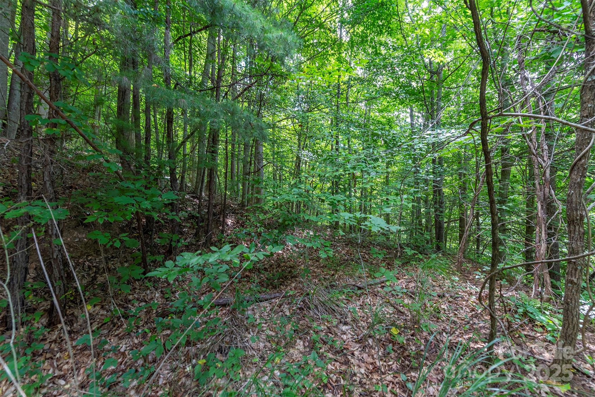 72 Applewood Lane Weaverville NC 28787
