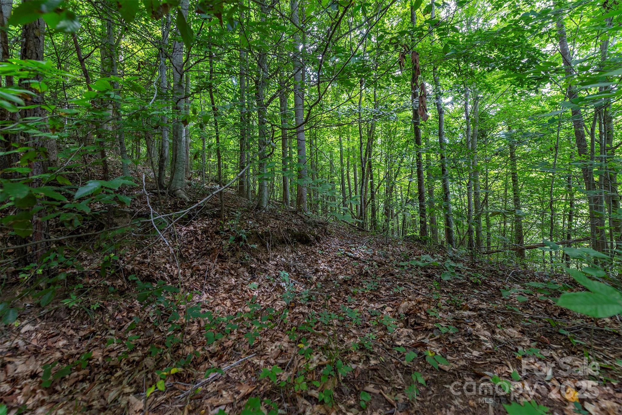 72 Applewood Lane Weaverville NC 28787