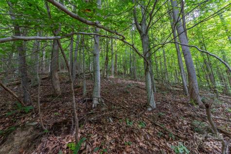 72 Applewood Lane Weaverville NC 28787