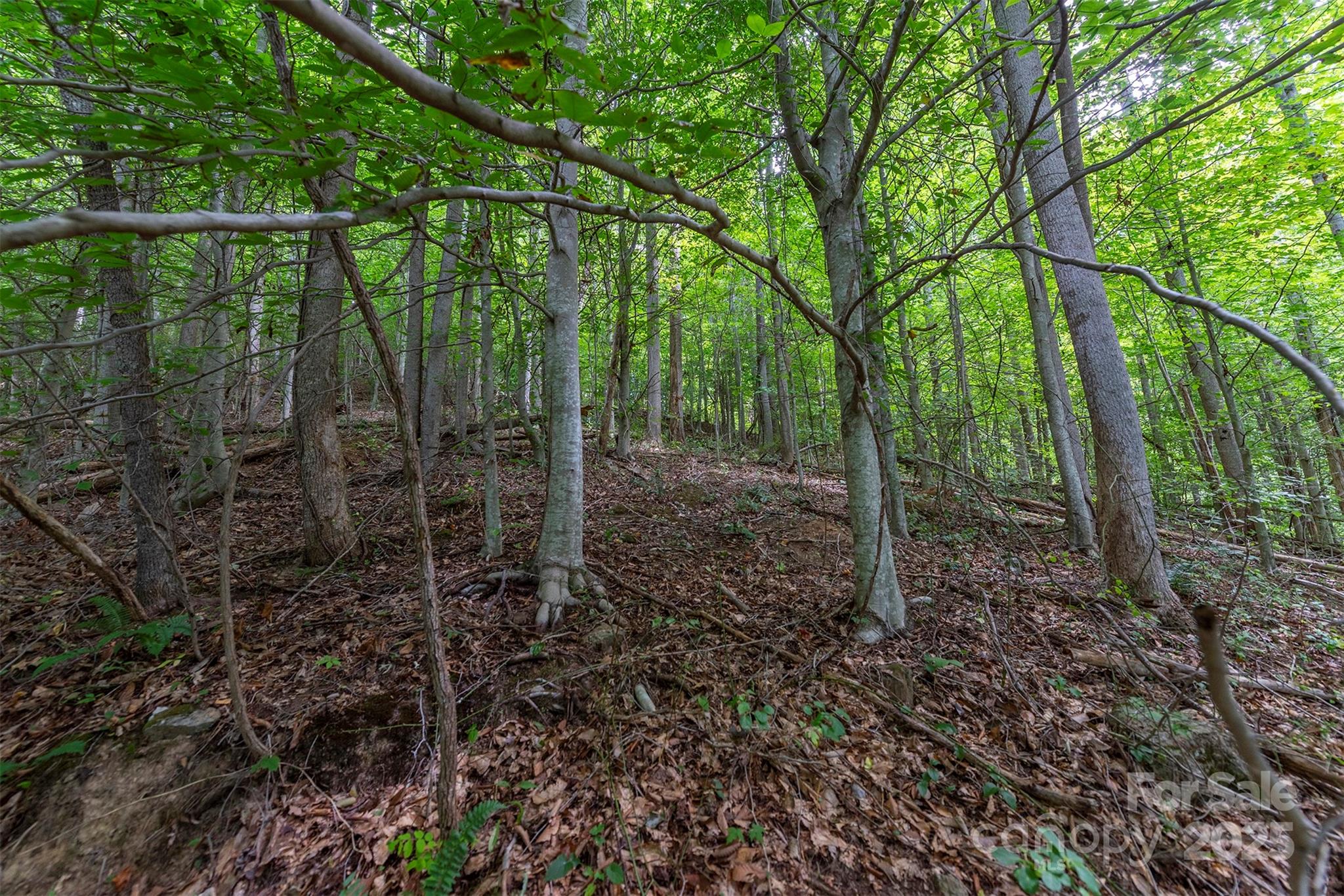 72 Applewood Lane Weaverville NC 28787