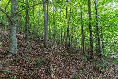 72 Applewood Lane Weaverville NC 28787