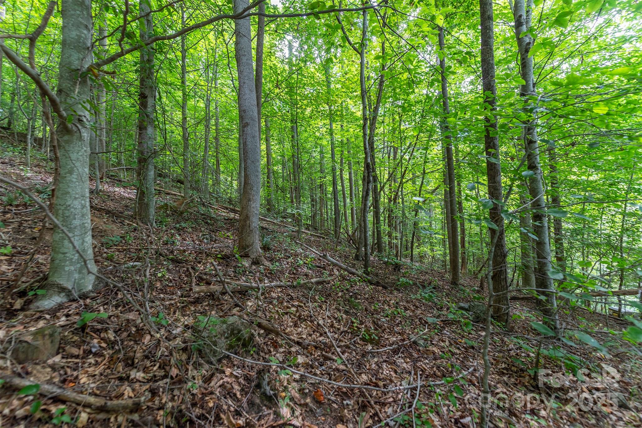 72 Applewood Lane Weaverville NC 28787