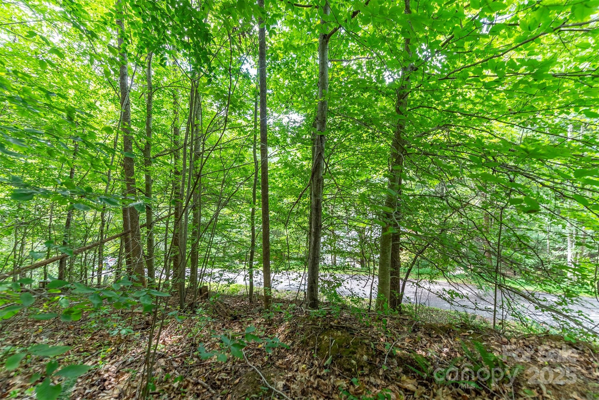 72 Applewood Lane Weaverville NC 28787
