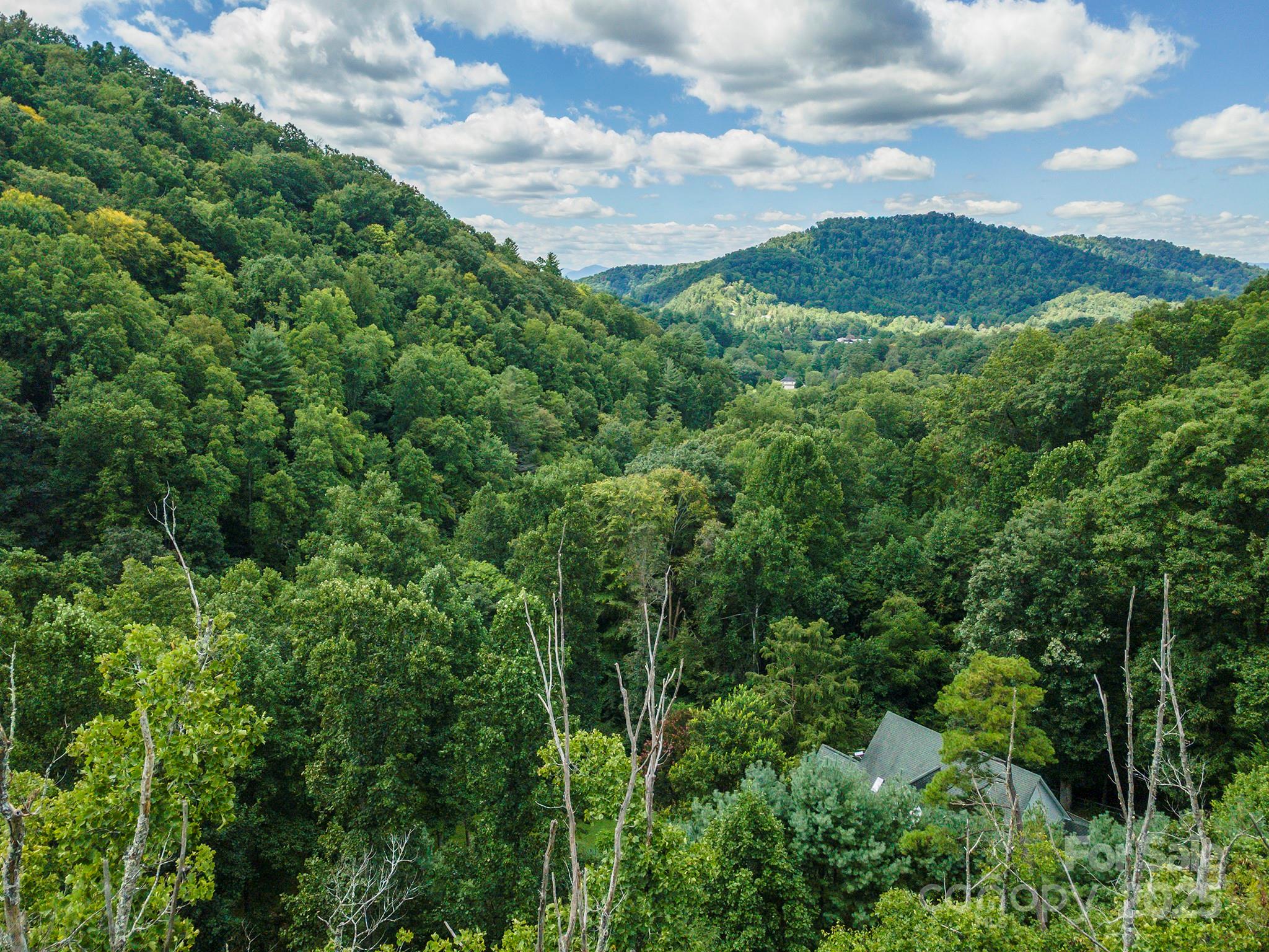 72 Applewood Lane Weaverville NC 28787