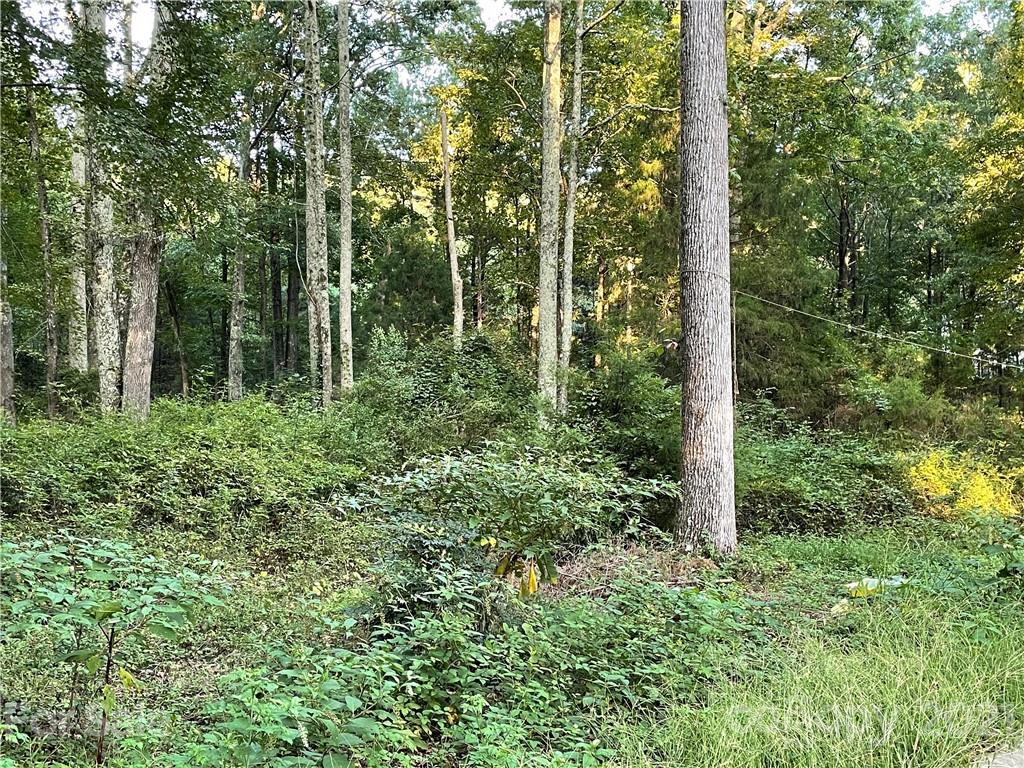 1109 Reamoor Drive Waxhaw NC 28173
