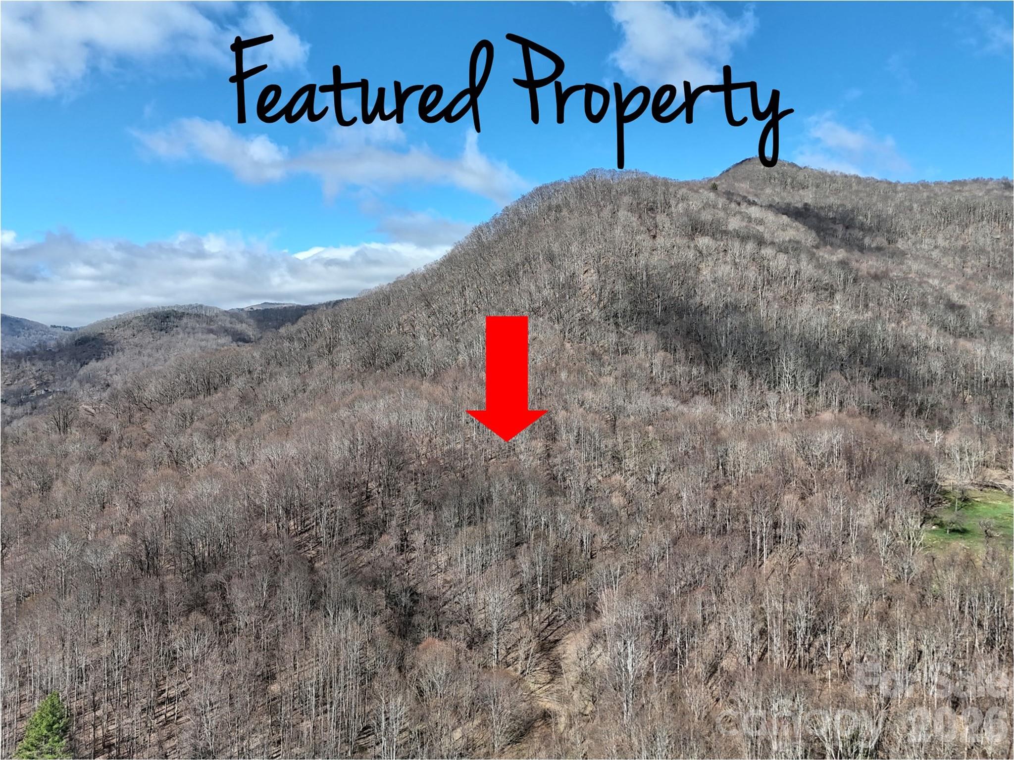 00 Neds Branch Road Waynesville NC 28785