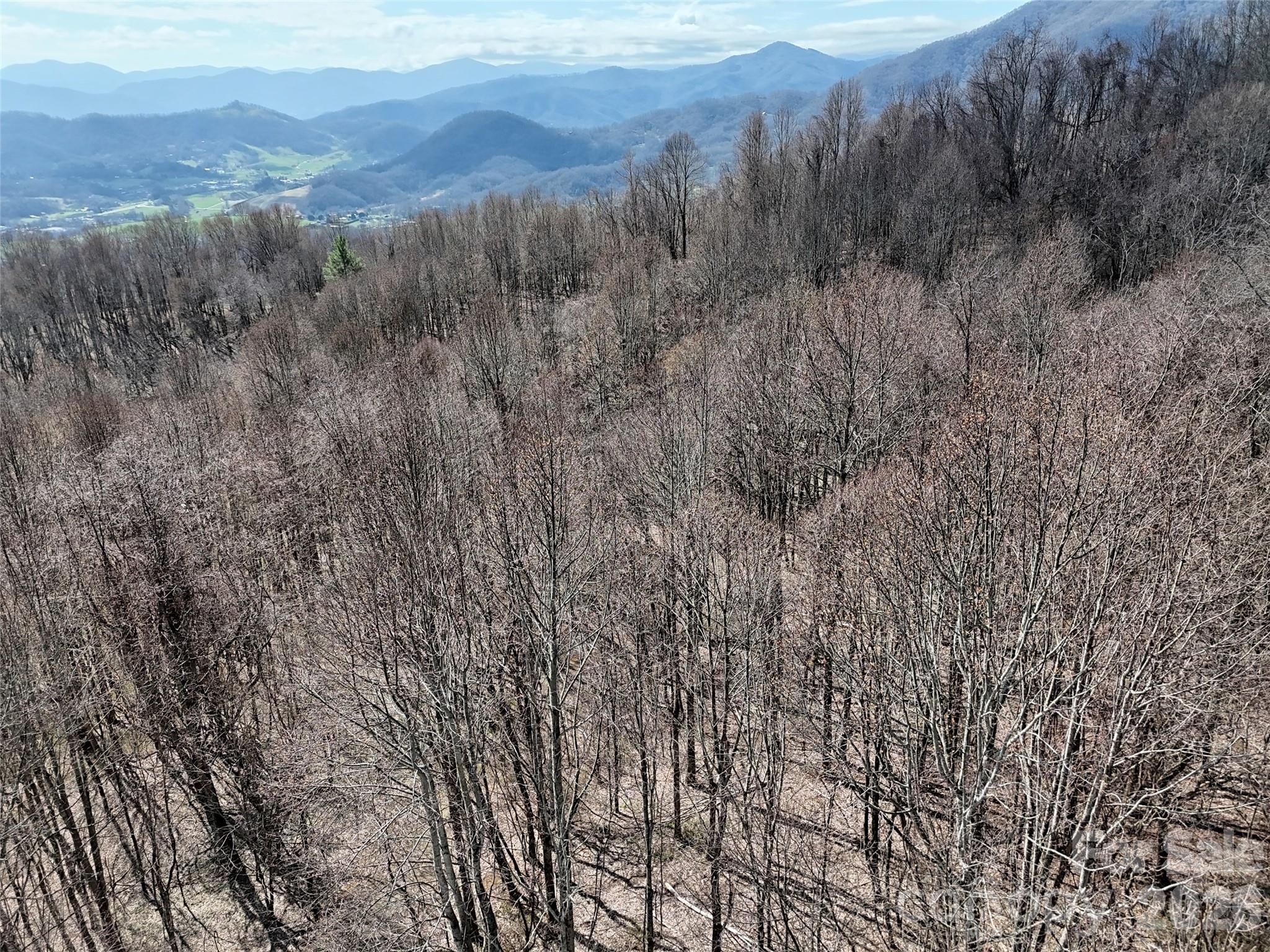 00 Neds Branch Road Waynesville NC 28785