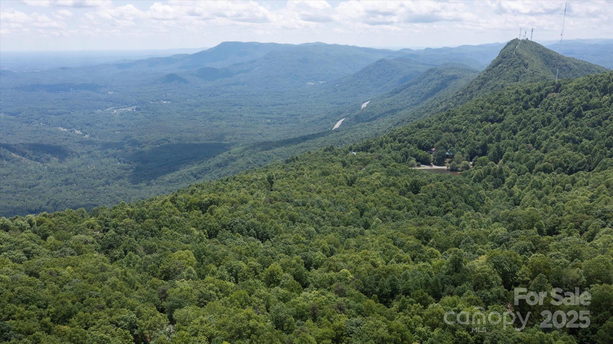99999 Arrowhead Trail Columbus NC 28722
