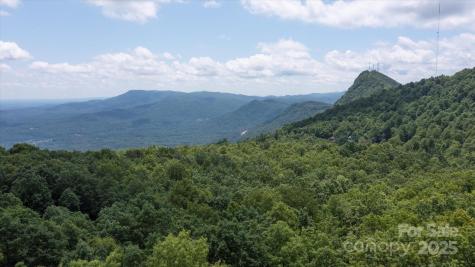 99999 Arrowhead Trail Columbus NC 28722