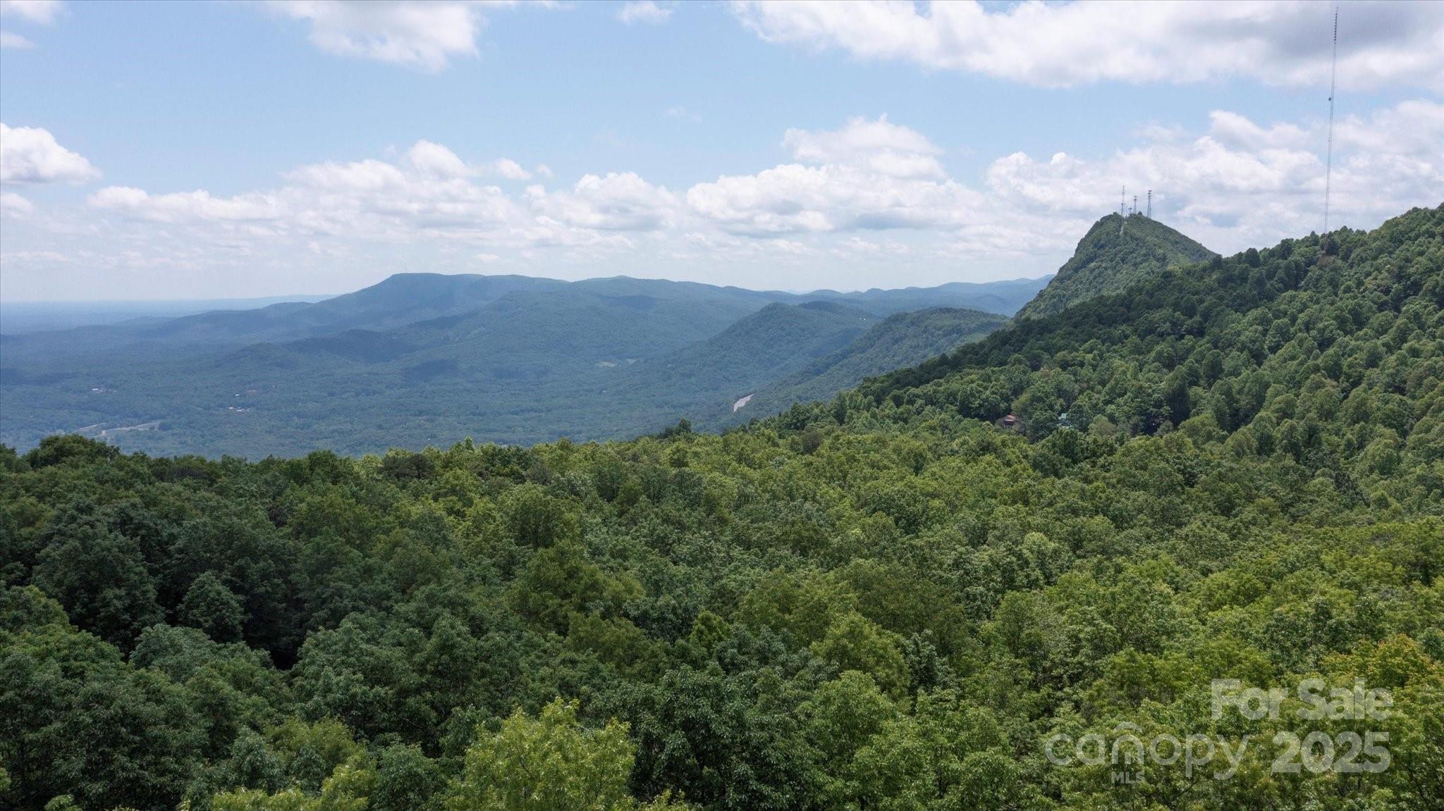 99999 Arrowhead Trail Columbus NC 28722