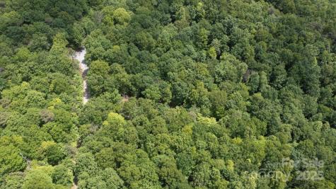 99999 Arrowhead Trail Columbus NC 28722
