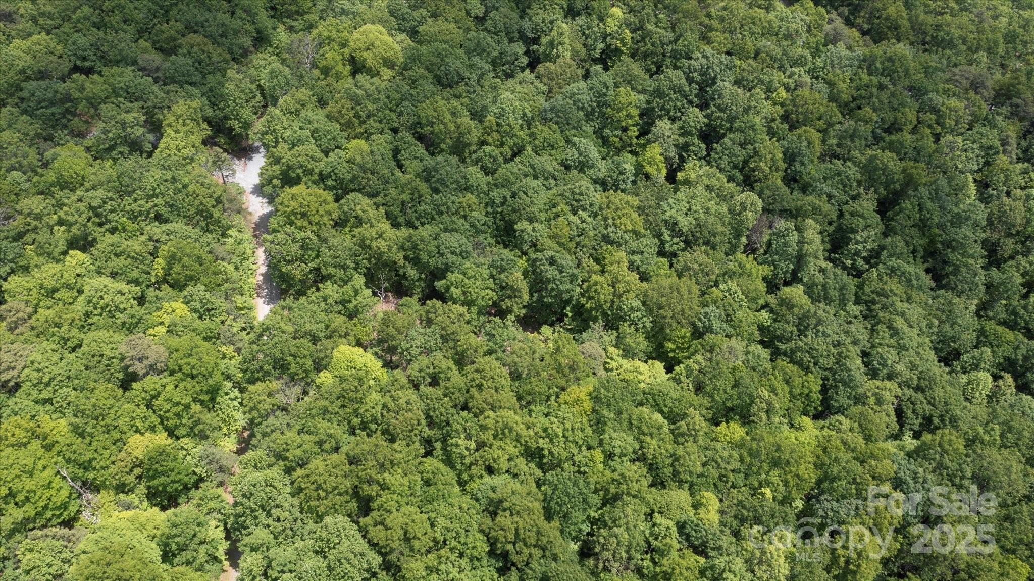 99999 Arrowhead Trail Columbus NC 28722
