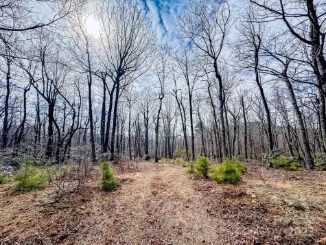 99999 Arrowhead Trail Columbus NC 28722