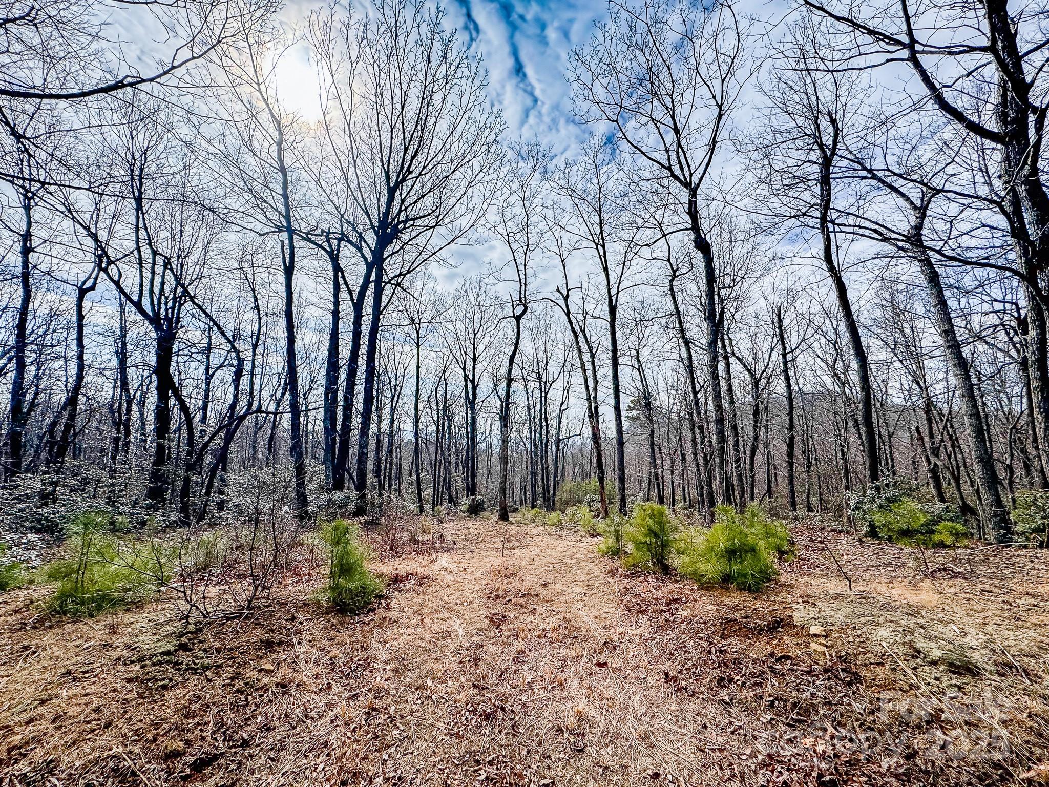 99999 Arrowhead Trail Columbus NC 28722