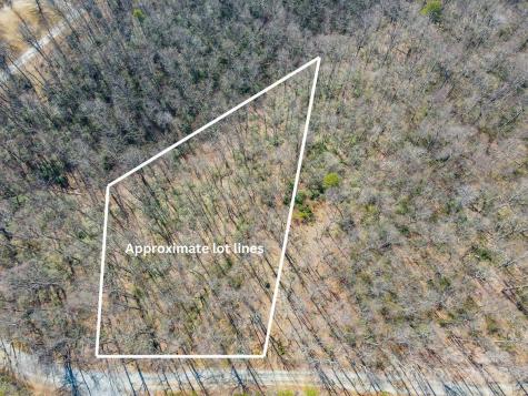99999 Arrowhead Trail Columbus NC 28722