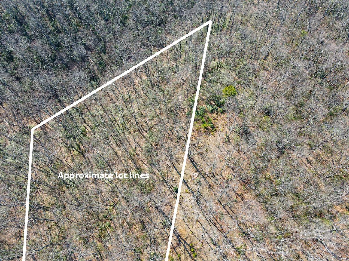 99999 Arrowhead Trail Columbus NC 28722