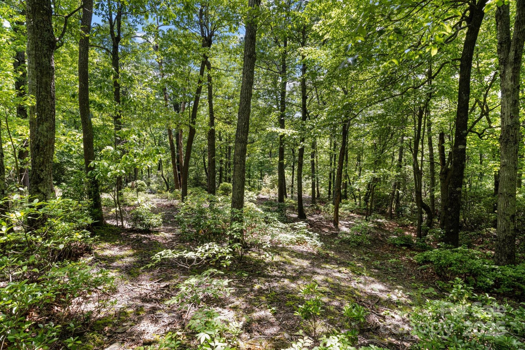 99999 Arrowhead Trail Columbus NC 28722