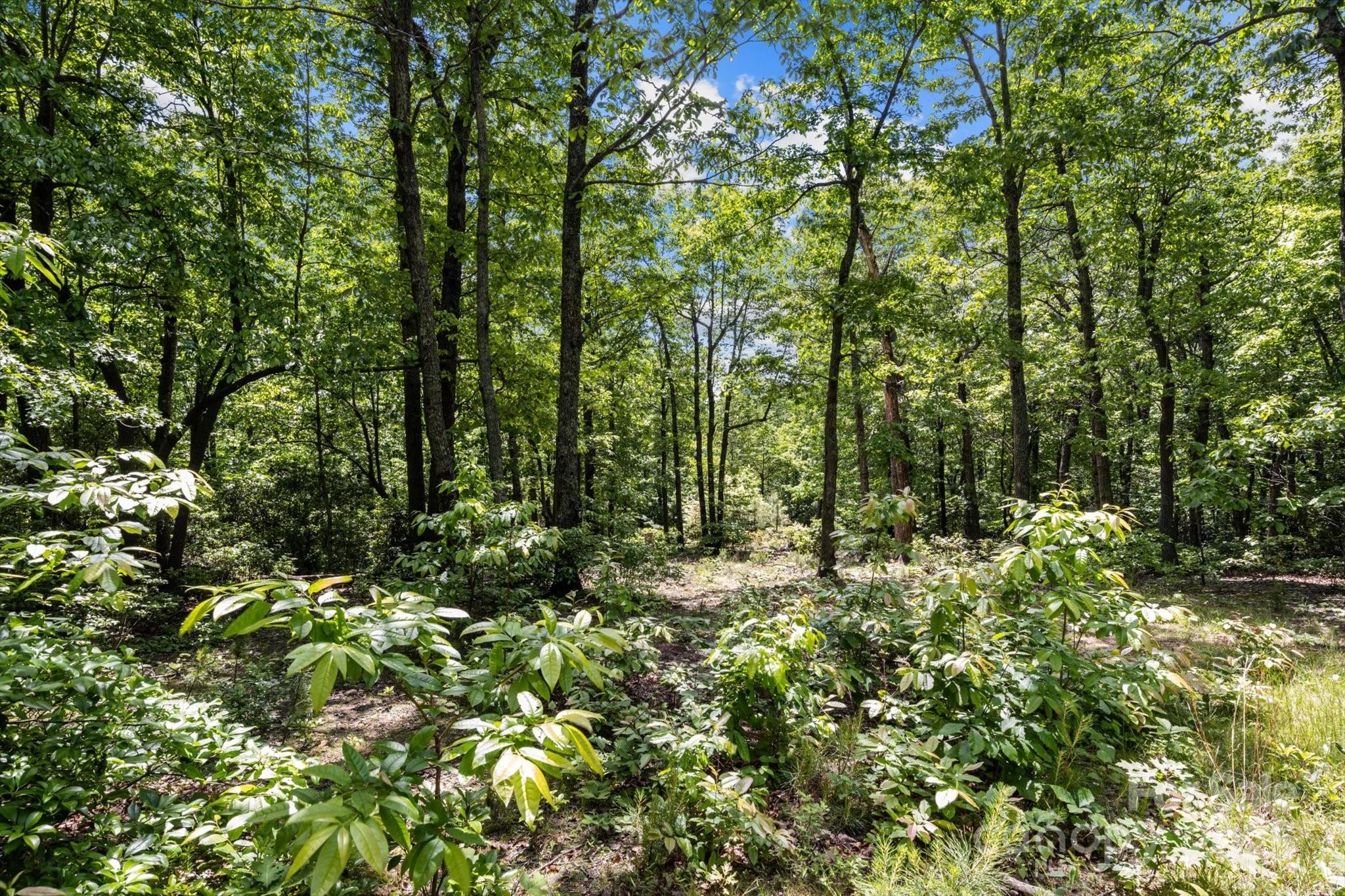 99999 Arrowhead Trail Columbus NC 28722