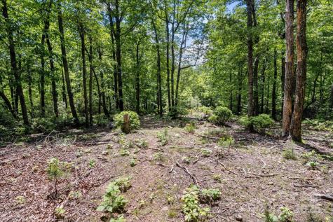 99999 Arrowhead Trail Columbus NC 28722