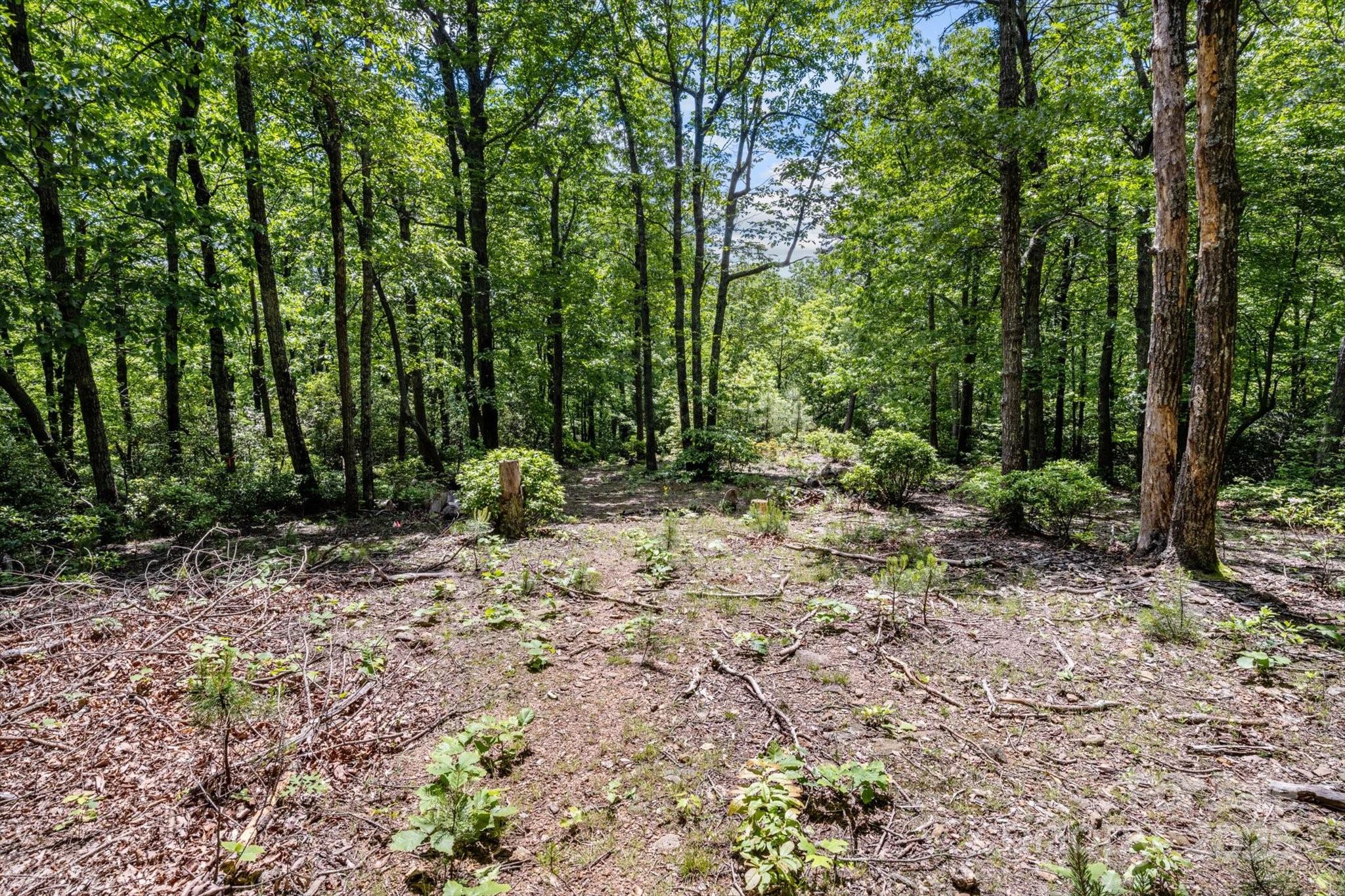 99999 Arrowhead Trail Columbus NC 28722
