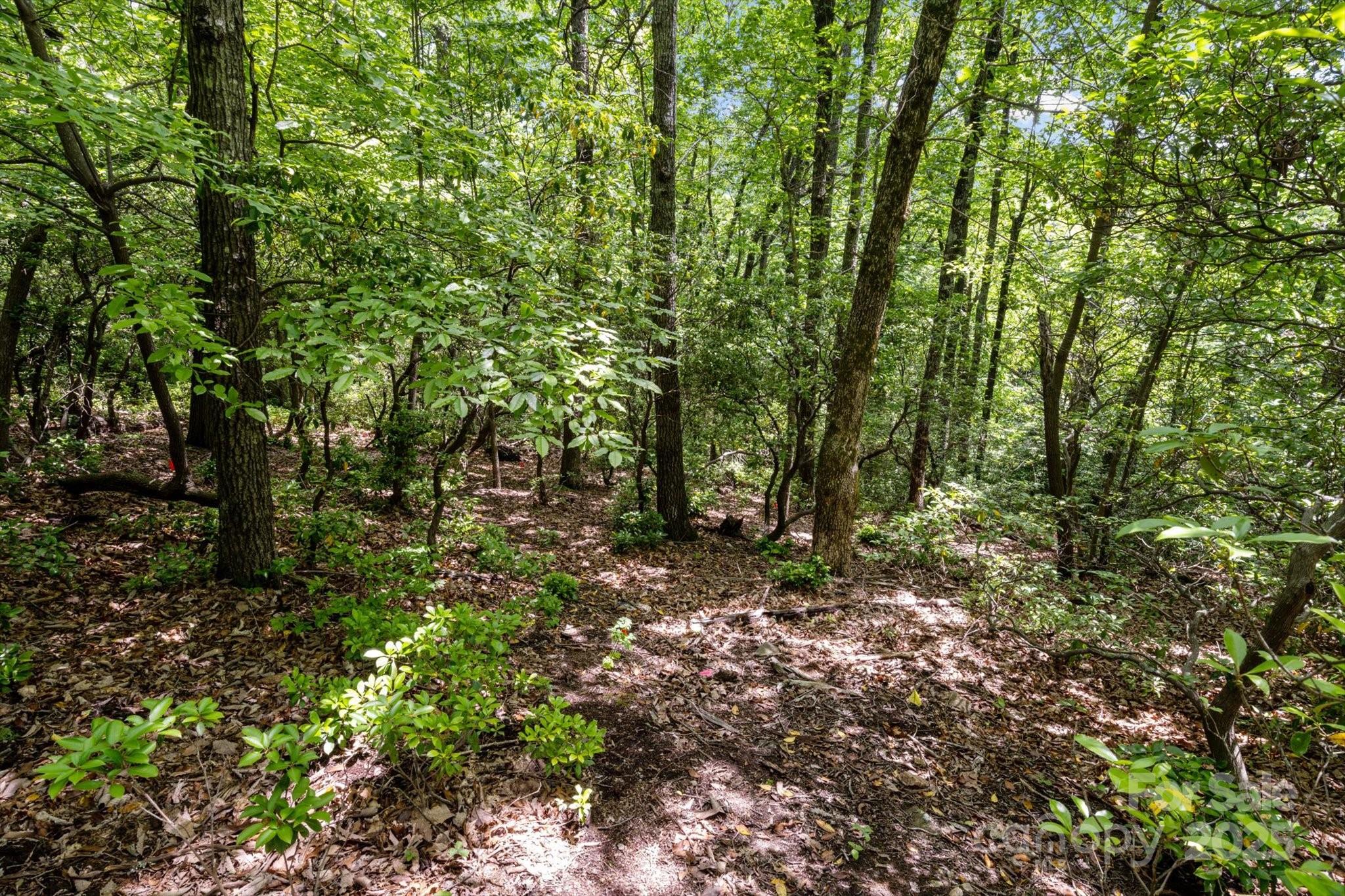 99999 Arrowhead Trail Columbus NC 28722