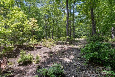 99999 Arrowhead Trail Columbus NC 28722