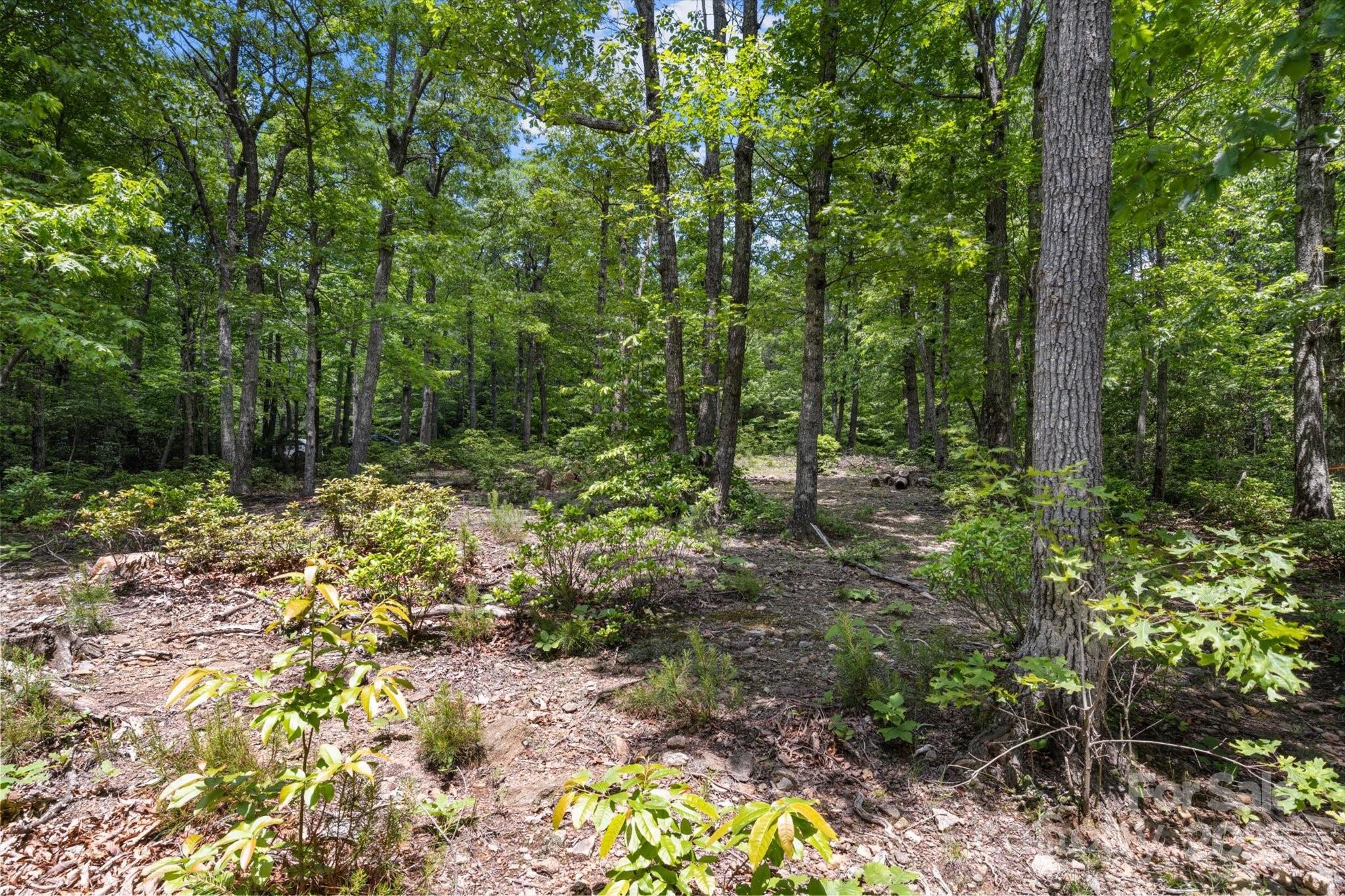 99999 Arrowhead Trail Columbus NC 28722