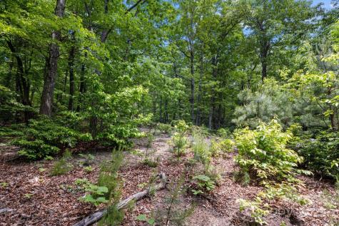 99999 Arrowhead Trail Columbus NC 28722