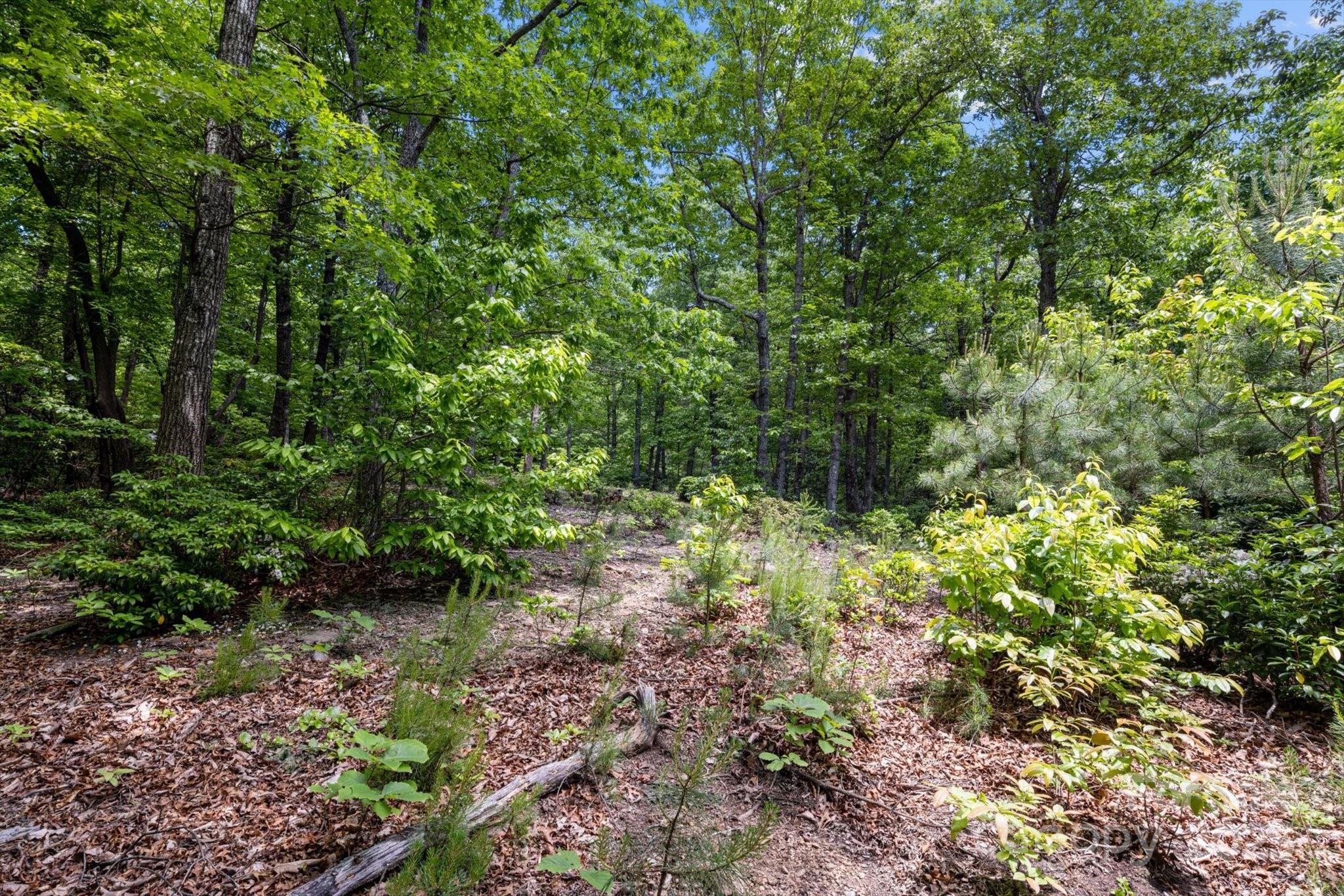 99999 Arrowhead Trail Columbus NC 28722