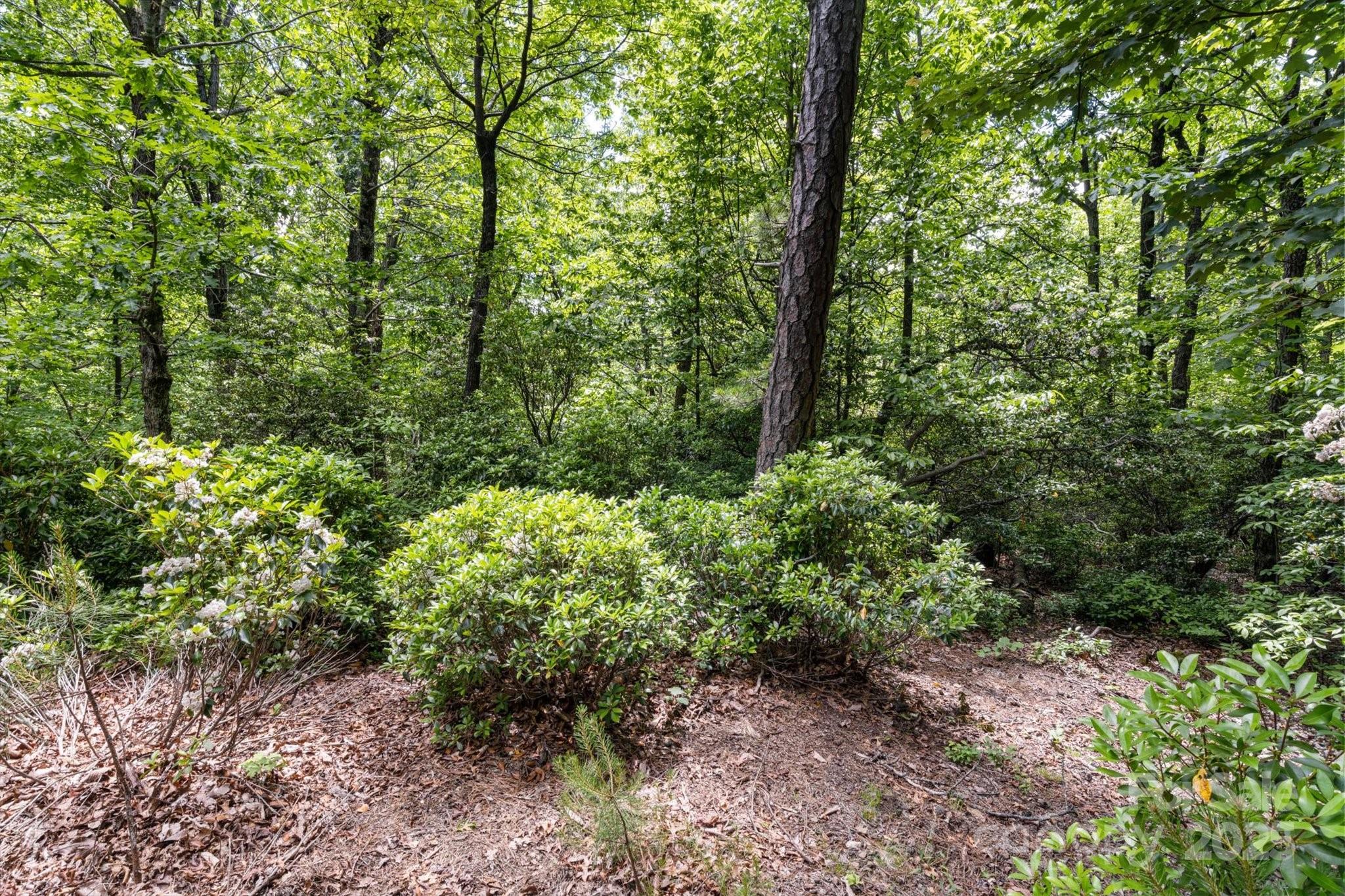 99999 Arrowhead Trail Columbus NC 28722