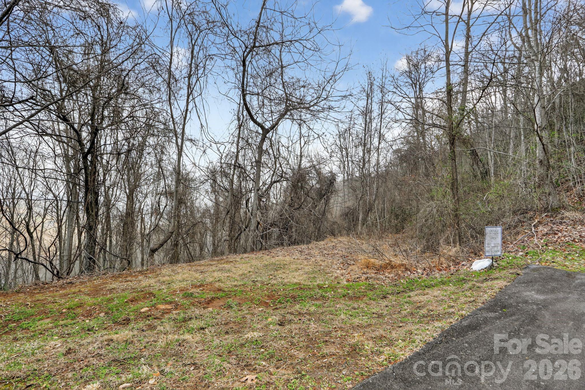 80 View Ridge Parkway Leicester NC 28748