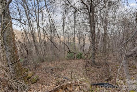 80 View Ridge Parkway Leicester NC 28748
