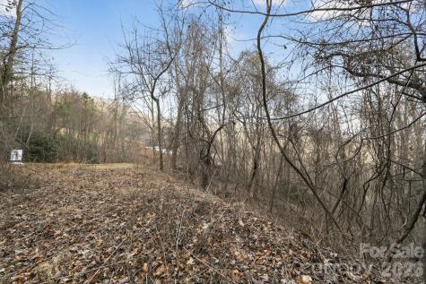 80 View Ridge Parkway Leicester NC 28748