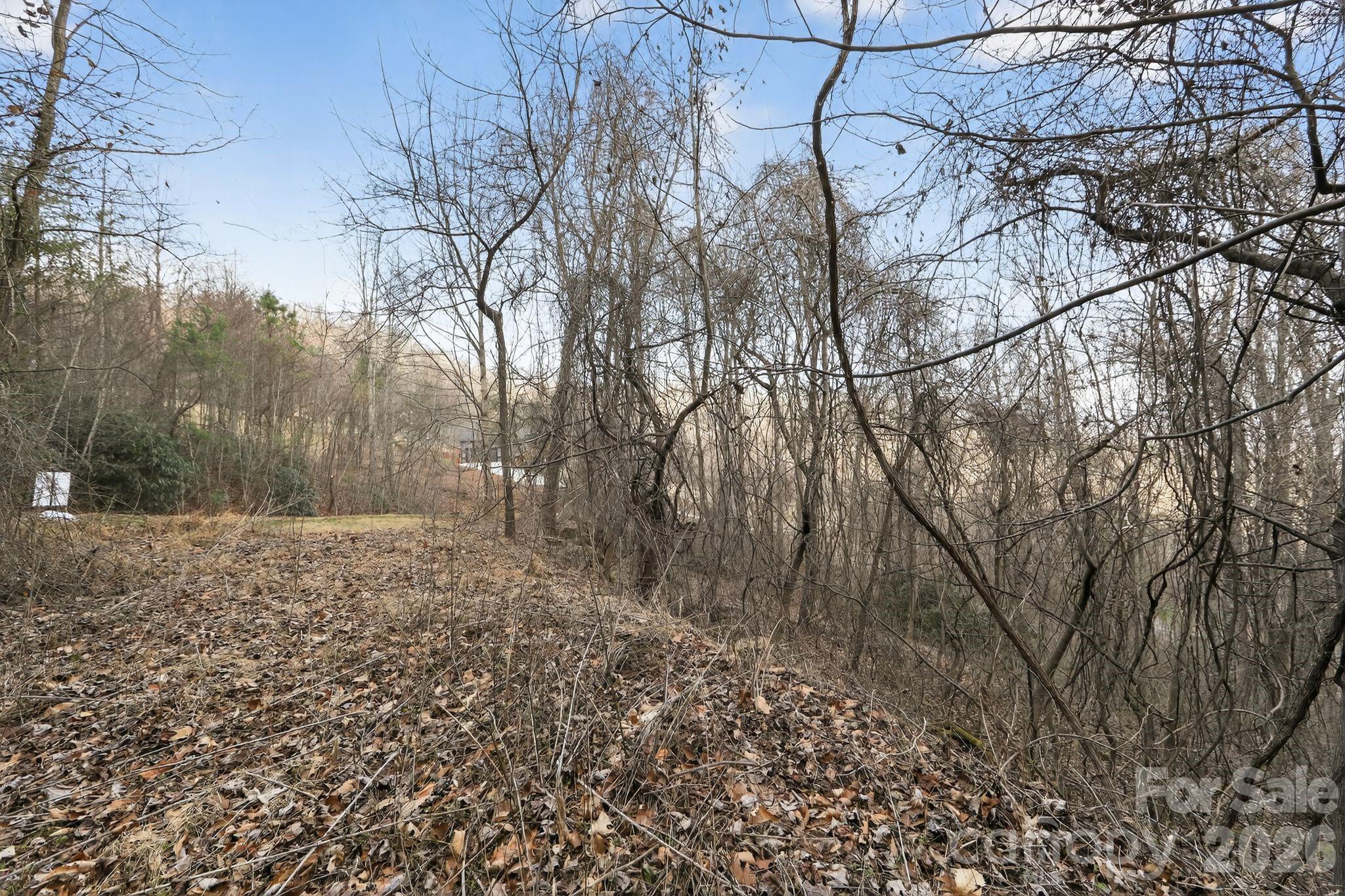 80 View Ridge Parkway Leicester NC 28748