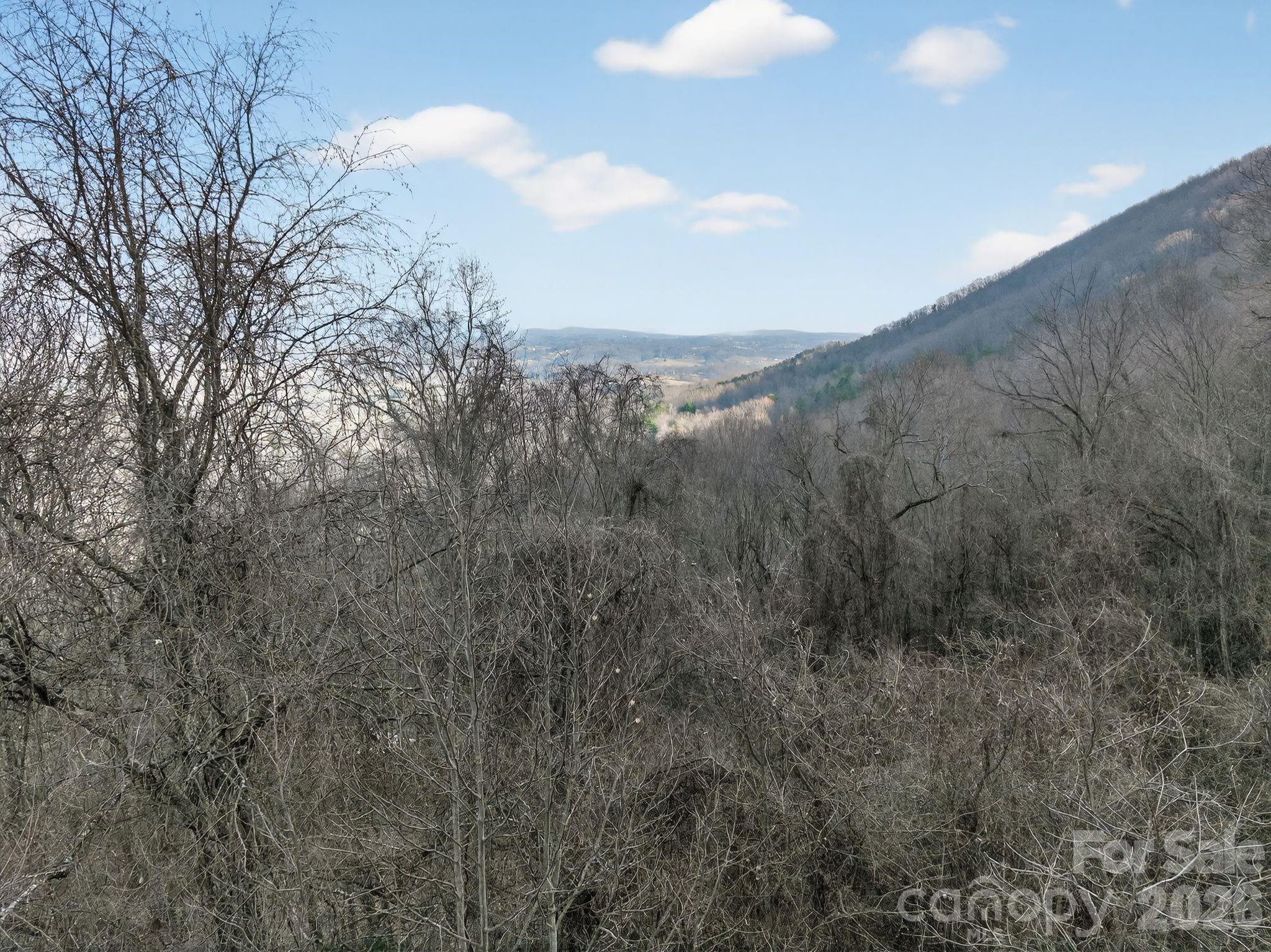80 View Ridge Parkway Leicester NC 28748