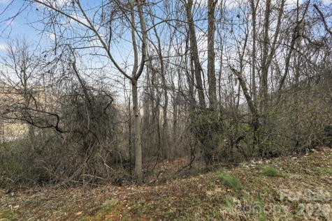 80 View Ridge Parkway Leicester NC 28748