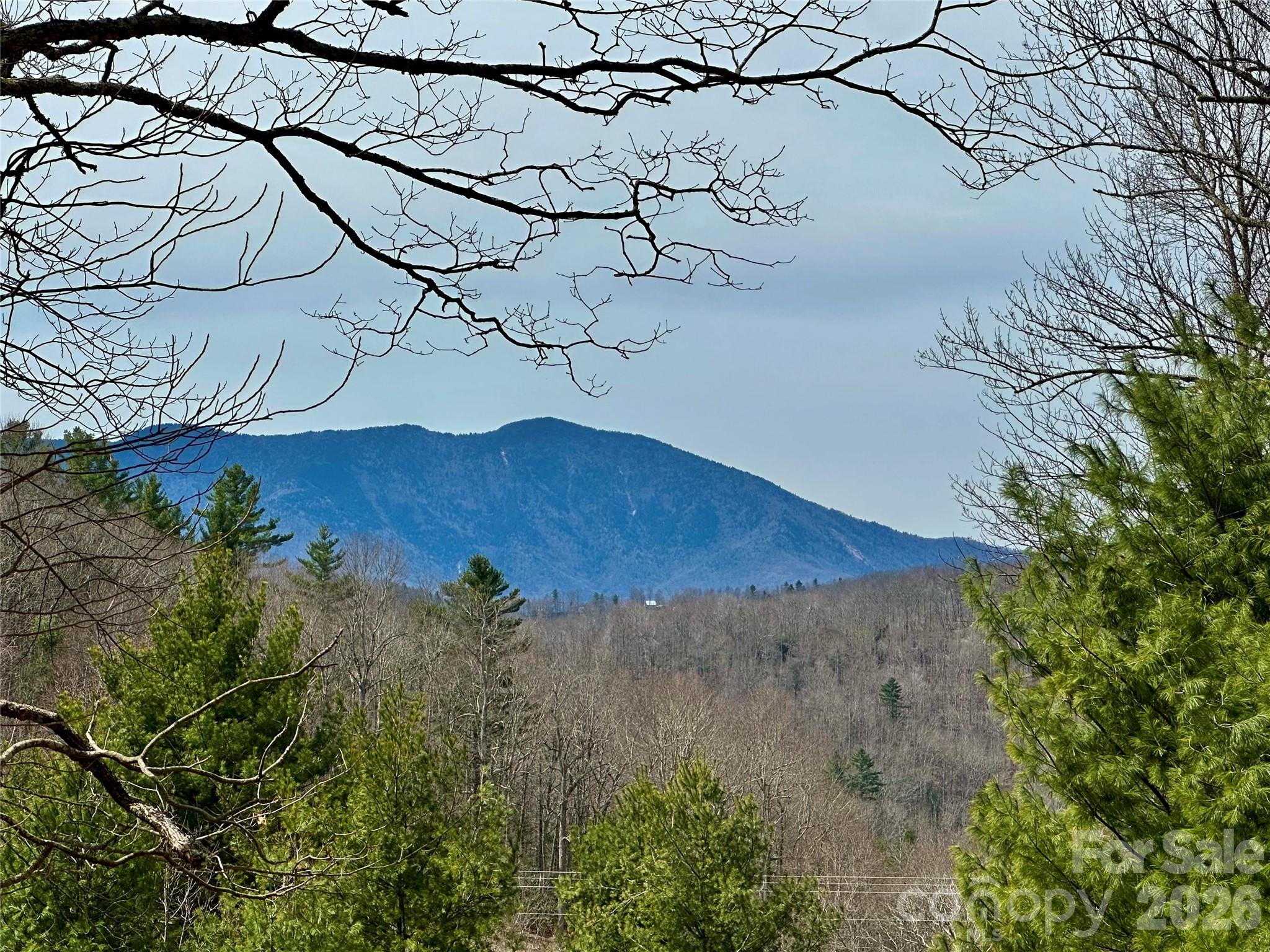 65 Blue Ridge Gem Mine Road Little Switzerland NC 28777