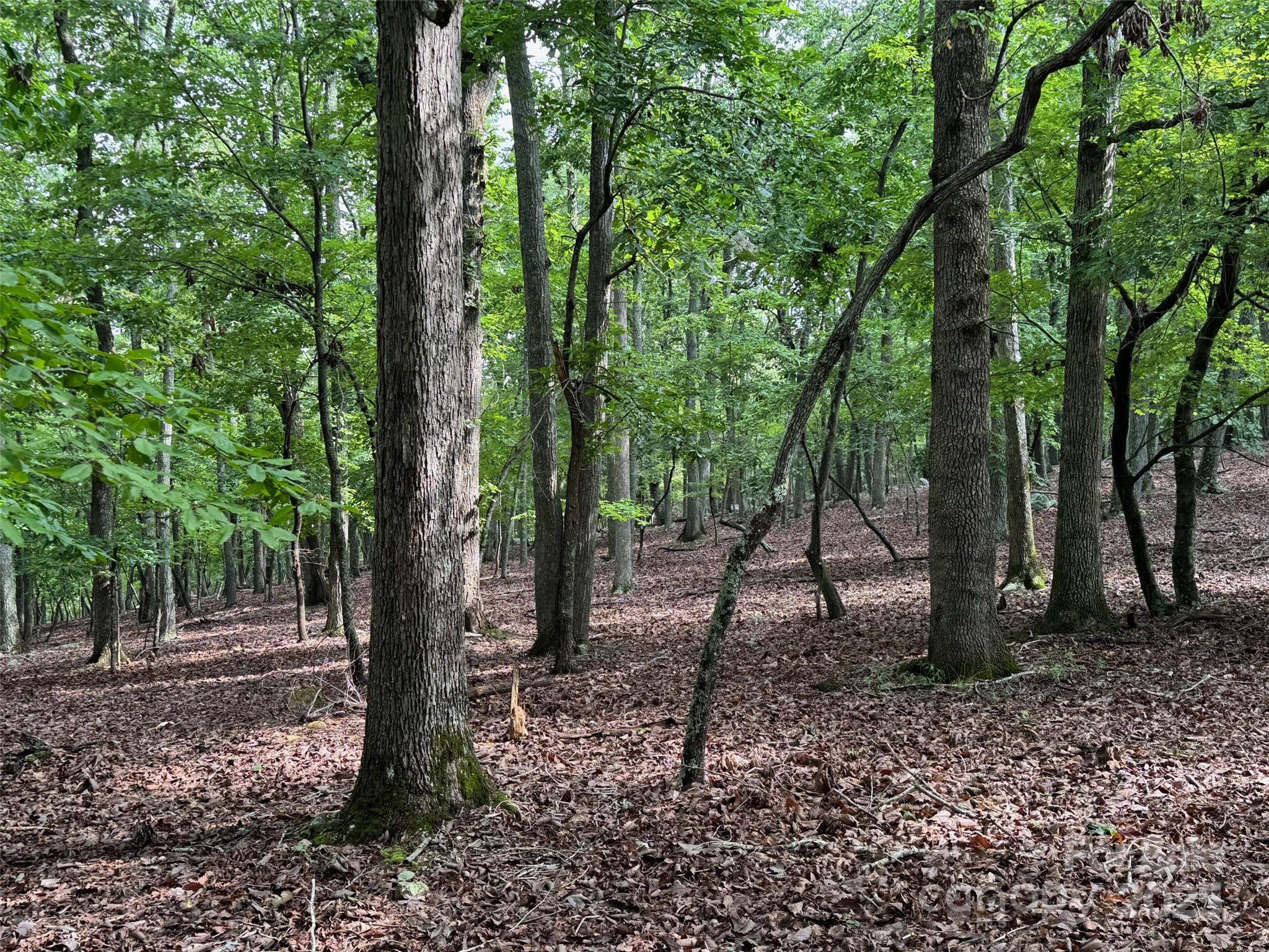 1695 Sierra Trace Road Denton NC 27239