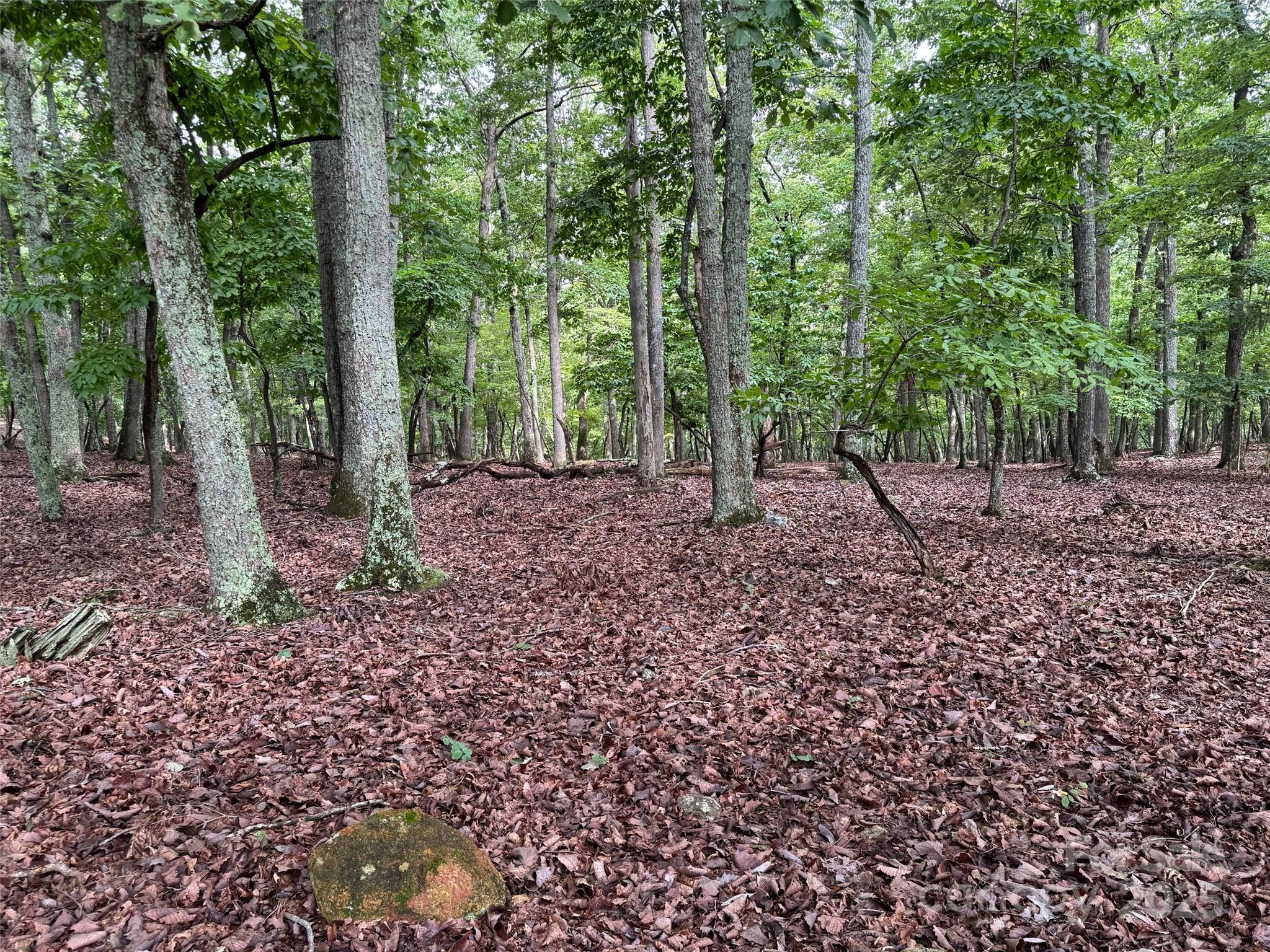 1695 Sierra Trace Road Denton NC 27239