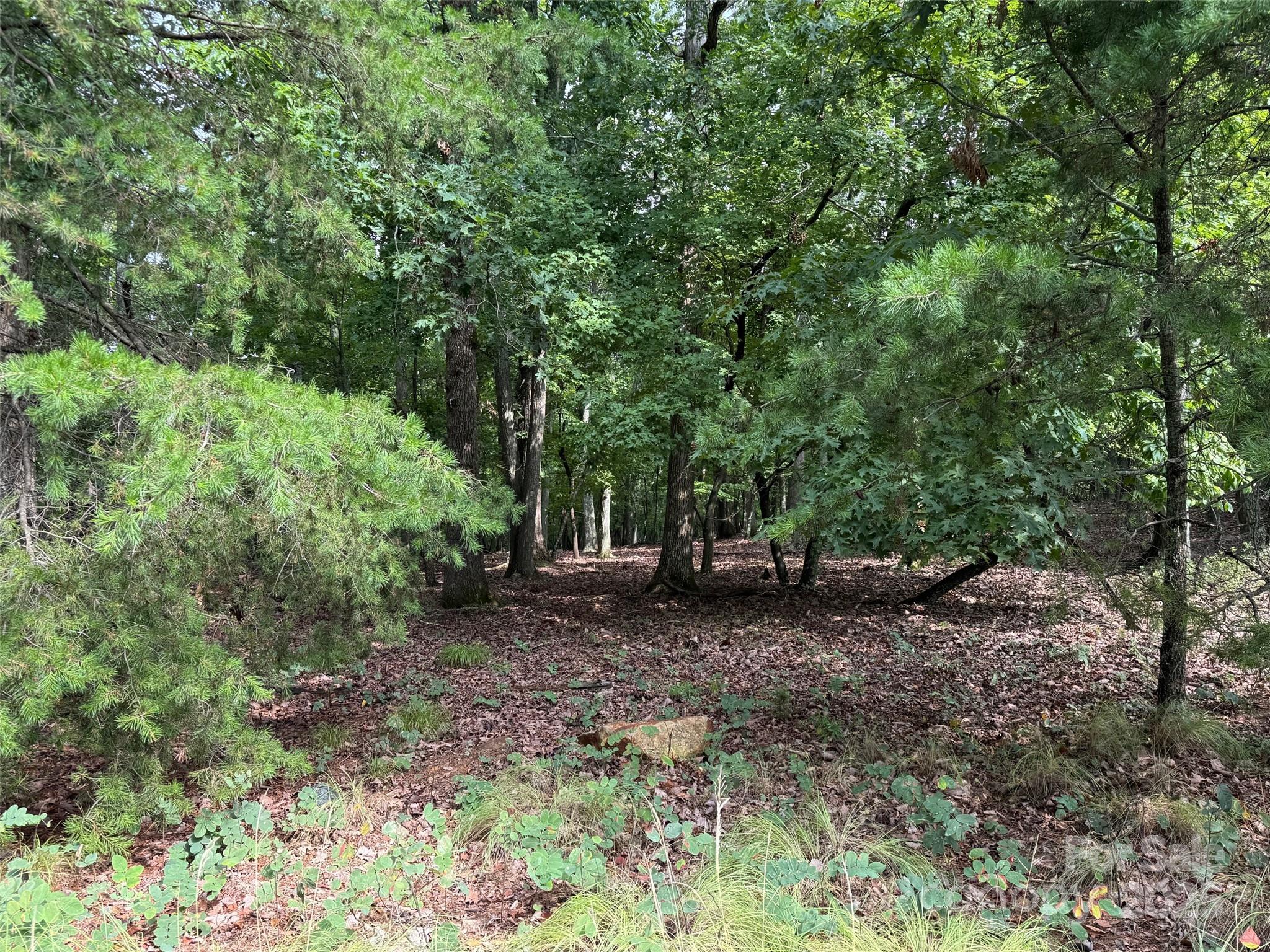 1695 Sierra Trace Road Denton NC 27239