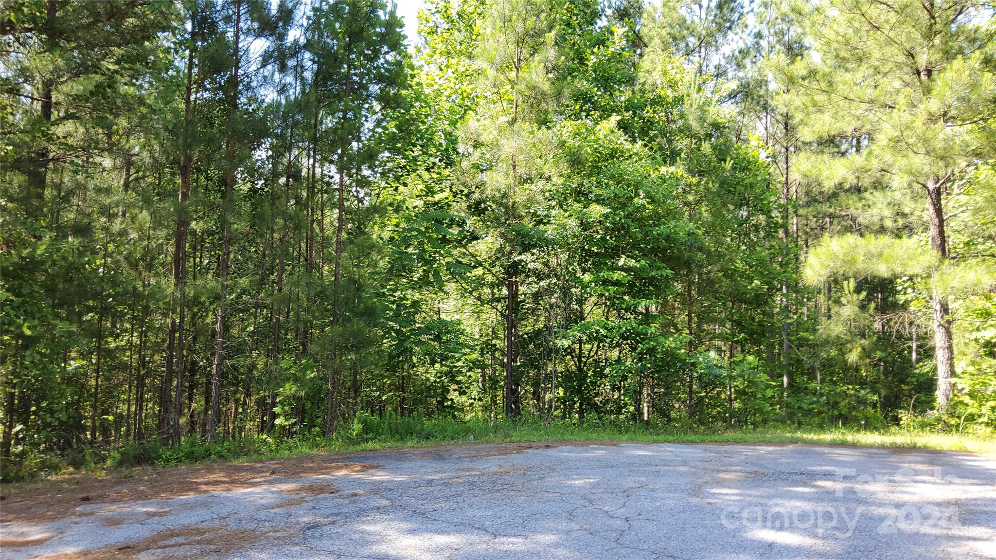 0 Ashley Court Mill Spring NC 28756