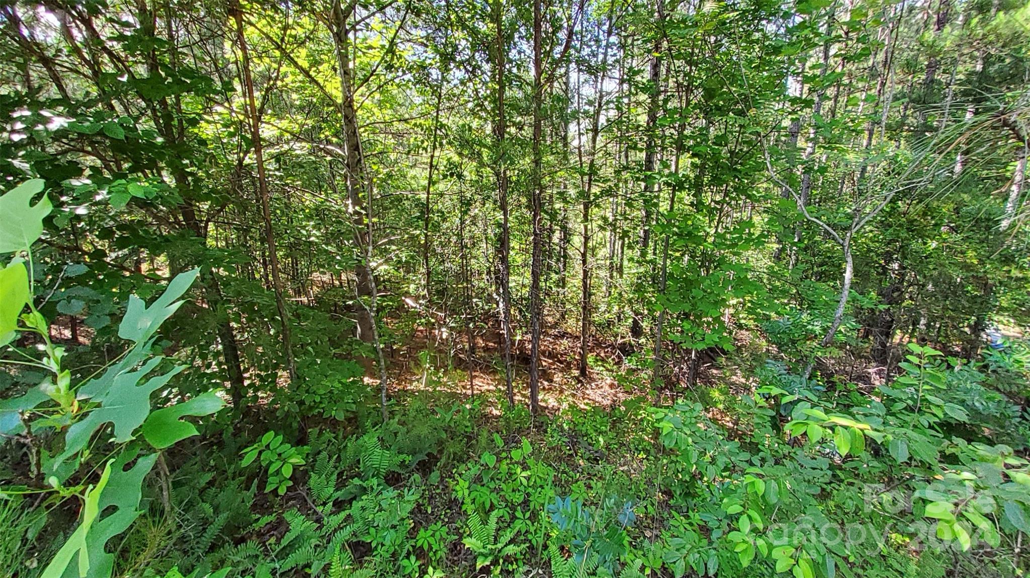 0 Ashley Court Mill Spring NC 28756